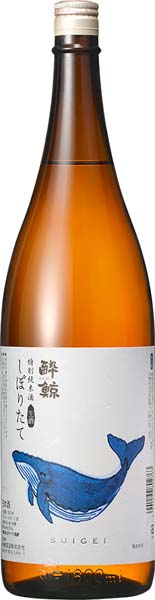 酔鯨  しぼりたて  特別純米【生】R7BY