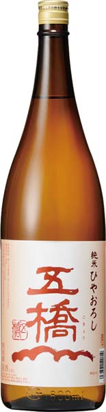 五橋　純米　ひやおろし　9月中旬入荷